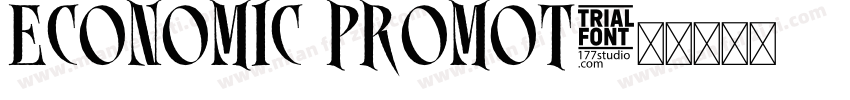 ECONOMIC PROMOT字体转换